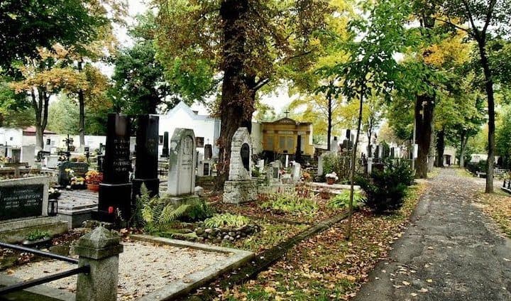 106885564-720x424 (1).jpg